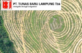 Laba Bersih Tunas Baru Lampung (TBLA) Mencapai Rp954 Miliar
