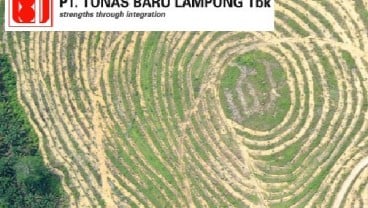 Laba Bersih Tunas Baru Lampung (TBLA) Mencapai Rp954 Miliar