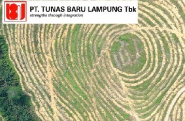 Laba Bersih Tunas Baru Lampung (TBLA) Mencapai Rp954 Miliar