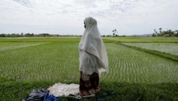 Potensi Sawah di Bombana, Sultra, Baru Tergarap 48 Persen