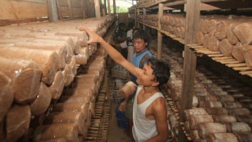 Plafon Kredit Jamkrida Bali Mandara Tembus Rp5,7 Triliun