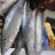 Cacing Mati dalam Ikan Kaleng Tak Bahayakan Kesehatan