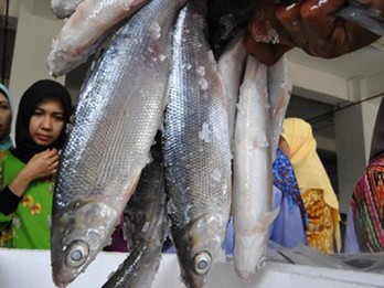 Cacing Mati dalam Ikan Kaleng Tak Bahayakan Kesehatan