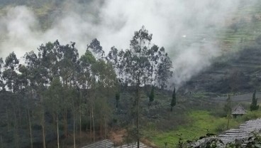 Kawah Sileri Gunungapi Dieng Meletus, Kondisi Aman