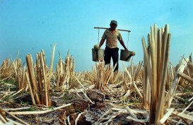 Nilai Tukar Petani Pada Maret Turun 0,39%