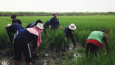 UMM Perkenalkan Smart Village Konsep Bangun Desa