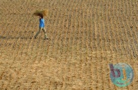 Daya Beli Petani Jabar Turun 0,92%