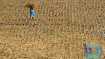 Daya Beli Petani Jabar Turun 0,92%