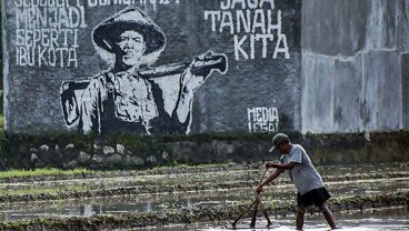 Pemerintah Mulai Rumuskan Aturan Perlindungan Lahan Sawah