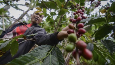 Kopi Indonesia Dipamerkan di Archex 2018