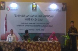 Kemenperin Dorong Limbah Lidi Sawit Riau jadi Komoditas Ekspor