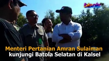 Mentan Tinjau Rawa Lebak di Kalsel