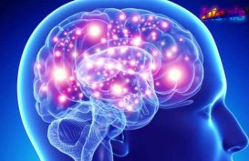 Profesor Ini Minta Terawan Buktikan “Cuci Otak” Sembuhkan Stroke