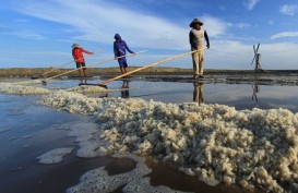 Industri Pengolah garam Berkomitmen Menyerap Garam Lokal