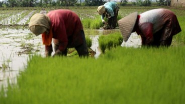 HKTI: Kesejahteraan Petani di Jabar Perlu Ditingkatkan