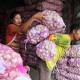 Bulog Palu Tak Miliki Stok Bawang Merah & Putih