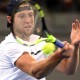 Gasak Belgia, Amerika ke Semifinal Tenis Piala Davis