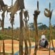 Dapat Jatah 10.000 Ha Lahan Jagung, Kaltim Pacu Jumlah Lahan Pertanian