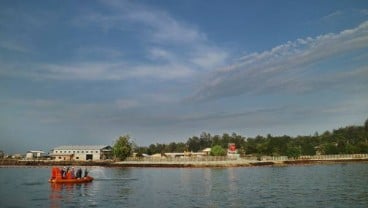 Tumpahan Minyak Teluk Balikpapan Rusak Mangrove