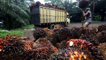 Harga CPO Naik ke Level Tertinggi Sebulan