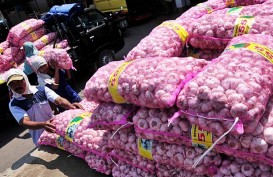 PASOKAN BAWANG PUTIH: Pedagang di Pasar Induk Mengadu ke DPR