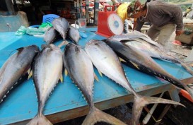 Sulit Dapatkan Data Ikan Kalengan, Kemendag: Ekspor Ikan Tak Diatur, Bisa Ditanya ke KKP 