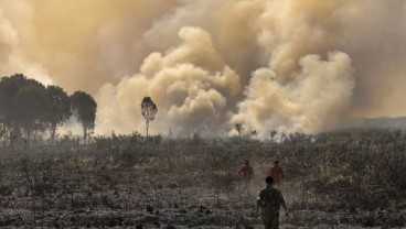 Kebakaran Lahan di Sumsel Mulai Terdeteksi