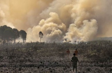 Kebakaran Lahan di Sumsel Mulai Terdeteksi