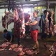 Jajaki Impor Daging Sapi, Tim Audit Indonesia Berangkat ke Brasil