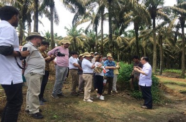 Kunjungi Kebun Sawit Asian Agri, Begini Kesan Para Dubes Eropa