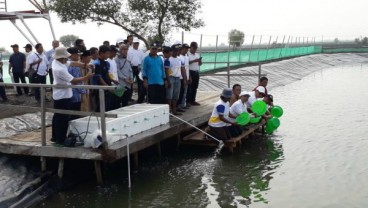 Kementerian BUMN Perkuat Revitalisasi Tambak Muara Gembong Bekasi