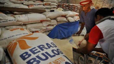 PBB:Kebijakan Fokus Swasembada Pangan Tidak Memberi Solusi