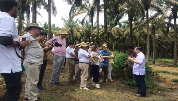  Perwakilan Uni Eropa dan Pemerintah Tinjau Kebun Kelapa Sawit Asian Agri