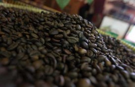  Global Specialty Coffee Expo 2018 : Kopi Aceh Hadir di Seattle