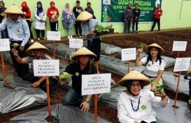 Hari Bumi, Super Indo Perluas Program Berkebun di Kota Bandung