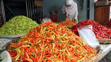 Harga Cabai di Padang Turun Menjadi Rp26.000 per Kilogram