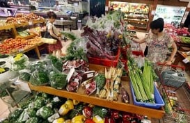 Konsumsi Sayuran dan Buah Warga Indonesia di Bawah Standar WHO