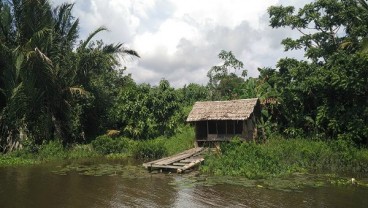 Menjangkau Suaka Margasatwa Sungai Lamandau