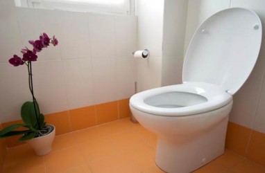 Bukan Tisu, Begini Cara Efektif Bersihkan Dudukan Toilet