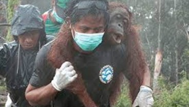 IARI Gandeng BTNGP Reboisasi Gunung Tarak