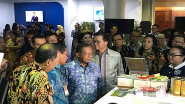 Dukungan Terhadap Petani Kecil Jadi Solusi Keamanan Pangan