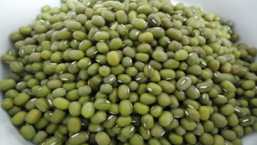 Ini Manfaat Kacang Hijau untuk Kesehatan