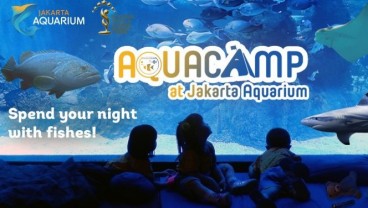 Unik, Jakarta Aquarium Hadirkan Aquacamp