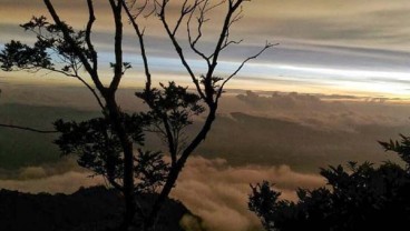 'Sepotong Surga di Kaki Pesagi' Diluncurkan di Jambore Literasi se-Lampung