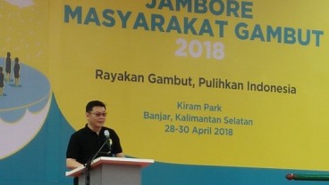 Pusat Gambut Skala Internasional Segera Dibentuk