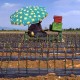 Prancis Tolak Kebijakan Uni Eropa untuk Pangkas Subsidi Pertanian
