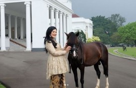 Lagi Hamil, Kahiyang Ayu Unggah Video Berkebaya di Istana Bogor 