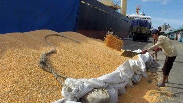 Indonesia ekspor 6.000 Ton Jagung ke Filipina