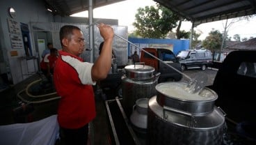 Frisian Flag Indonesia Dorong Peningkatan Tata Laksana Peternakan yang Baik bagi Peternak Sapi