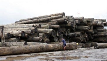 Produksi Kayu Bulat Diyakini Meningkat